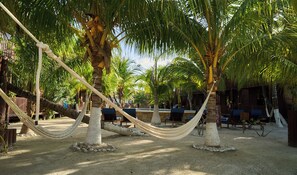 A hammock between palm trees, a pool, and outdoor seating. - Coconut by ÓOL Hotels (Isla Holbox)
