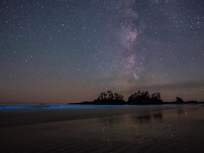 A night sky with stars and the Milky Way over a beach with calm water reflecting the sky. - Coconut by ÓOL Hotels (Isla Holbox)