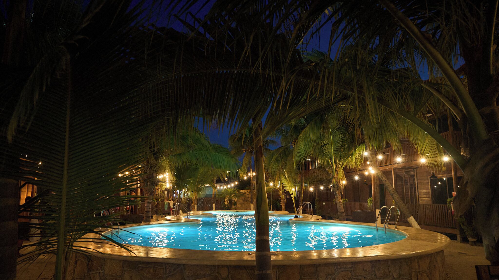 A nighttime pool area with palm trees and string lights.