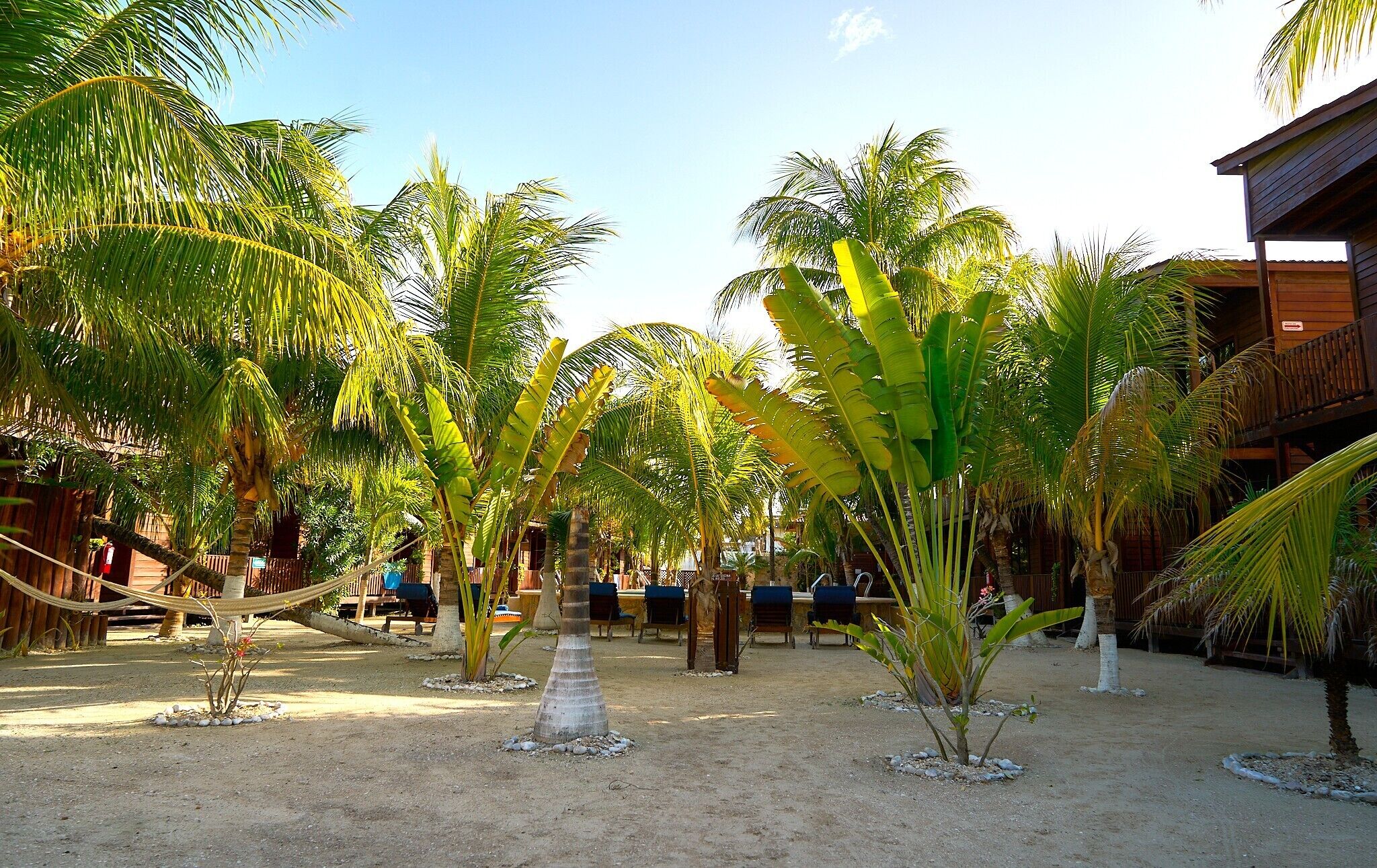Un resort tropical con palmeras, una hamaca y un edificio de madera.
