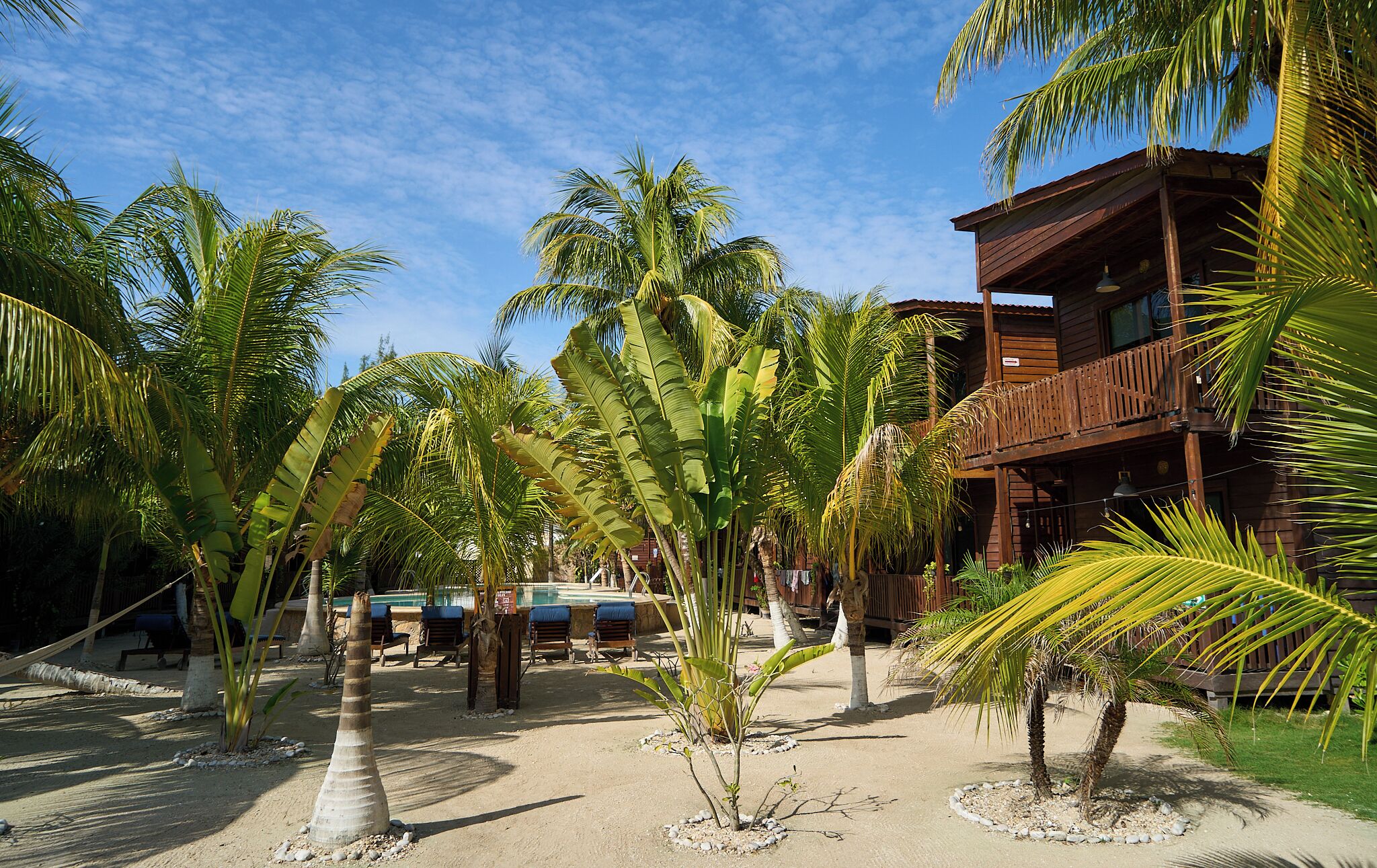 Foto - Coconut by ÓOL Hotels