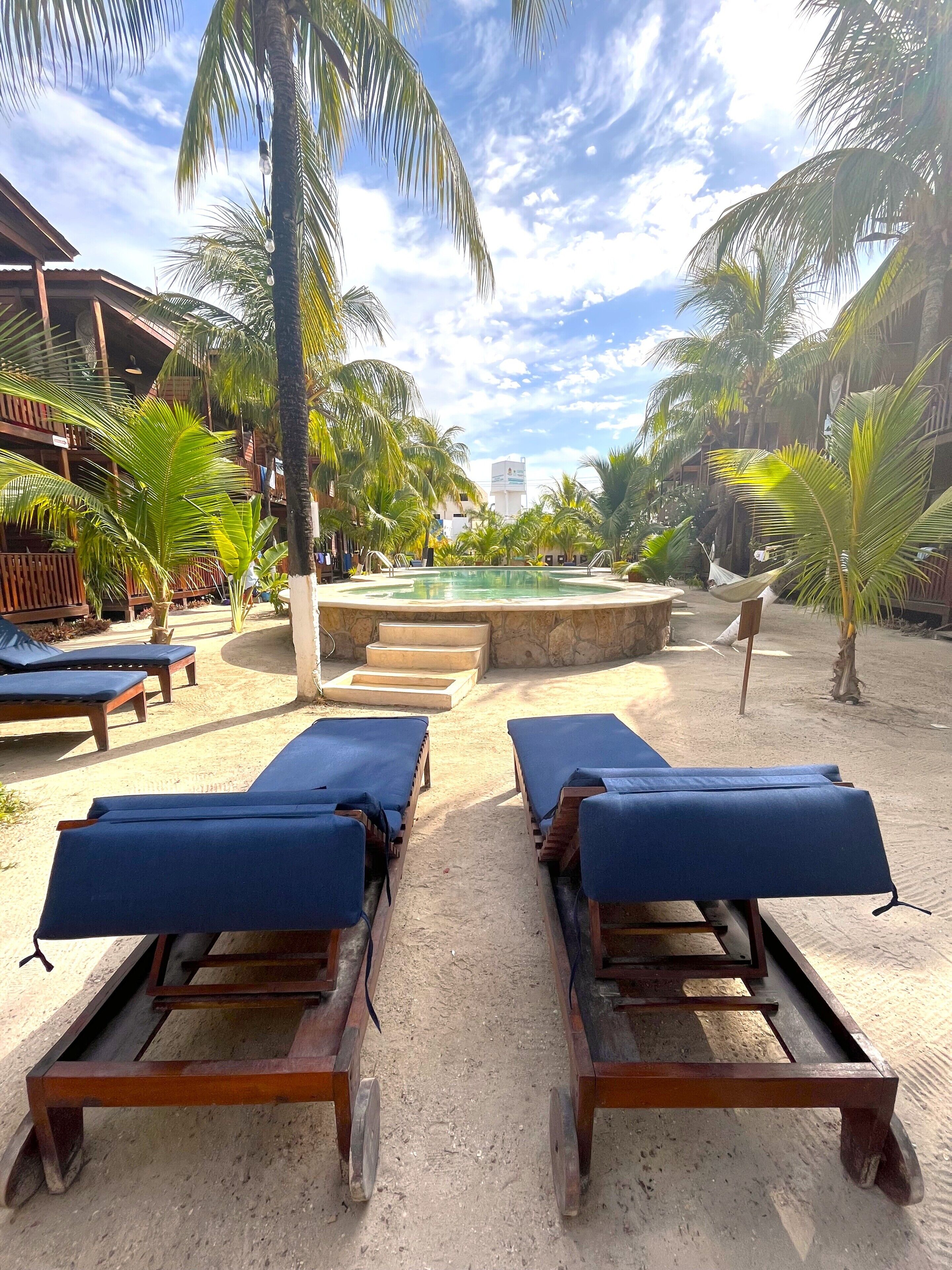 A pool area with lounge chairs, palm trees, and a building in the background.