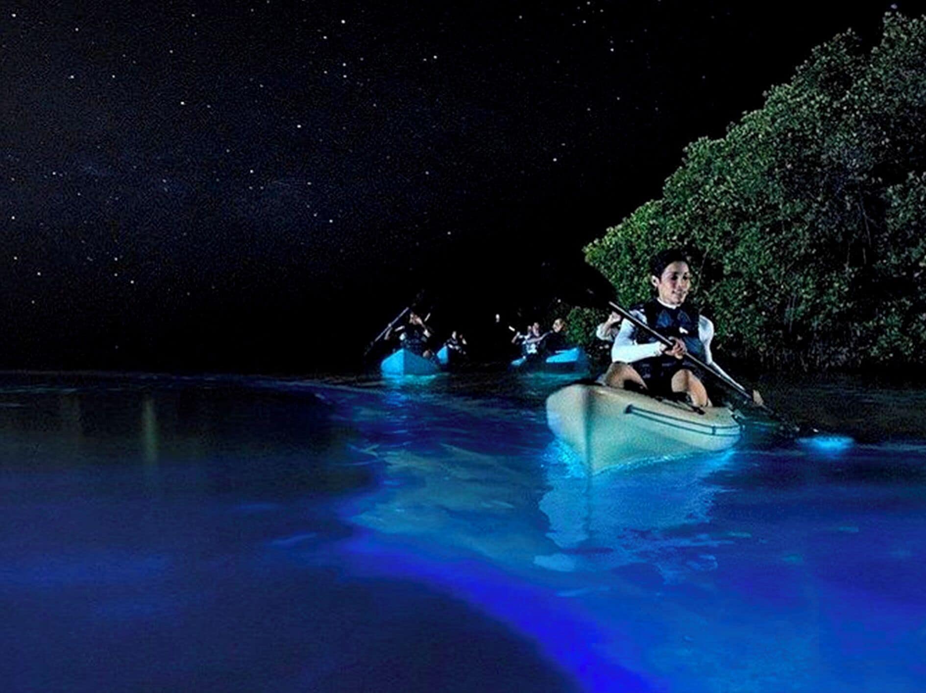 Photo - Coconut by ÓOL Hotels