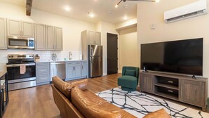 A modern kitchen with stainless steel appliances, a leather sofa, and a flat-screen TV. - 1 Bedroom Suite (Frankfort)