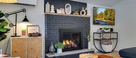 Smart TV, fireplace, books, video library