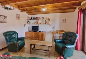 Ein Wohnzimmer mit zwei grünen Ledersesseln, einem Holztisch, einem Fernseher auf einer Holzkommode und Bücherregalen darüber.