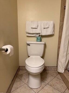 Bathroom - Snowbird Motel (Bristol)