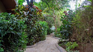 A stone pathway flanked by lush greenery and trees, leading to a building. - Hillstone Safari Lodge (Kimana)