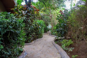 Terrace/patio - Hillstone Safari Lodge (Kimana)