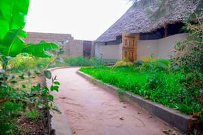 Un camino conduce a una edificación de techo de paja con puerta de madera, rodeada de abundante vegetación y un muro de piedra.