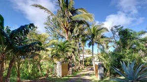 Un sentier bordé de hauts palmiers et d’une végétation luxuriante, qui mène à une entrée fermée par un portail.