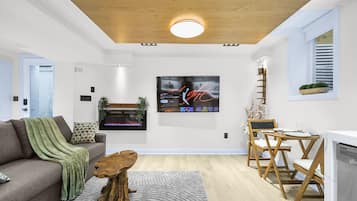 Smart TV, fireplace, books, stereo