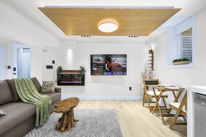 TV connectée, cheminée, livres, chaîne hi-fi