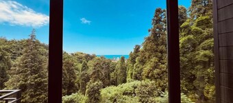2-bedroom villa in enchanting Batumi with AC, WiFi