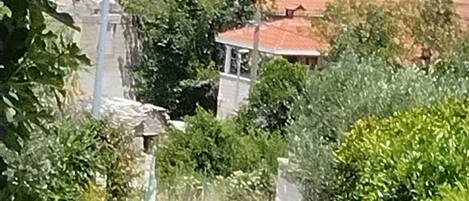 المنطقة المحيطة بالمنشأة