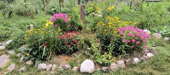 Serene 3 bdrm country home & gardens w/ WiFi 20 min from Commons / IC / Cornell