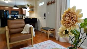 Smart TV, fireplace, books