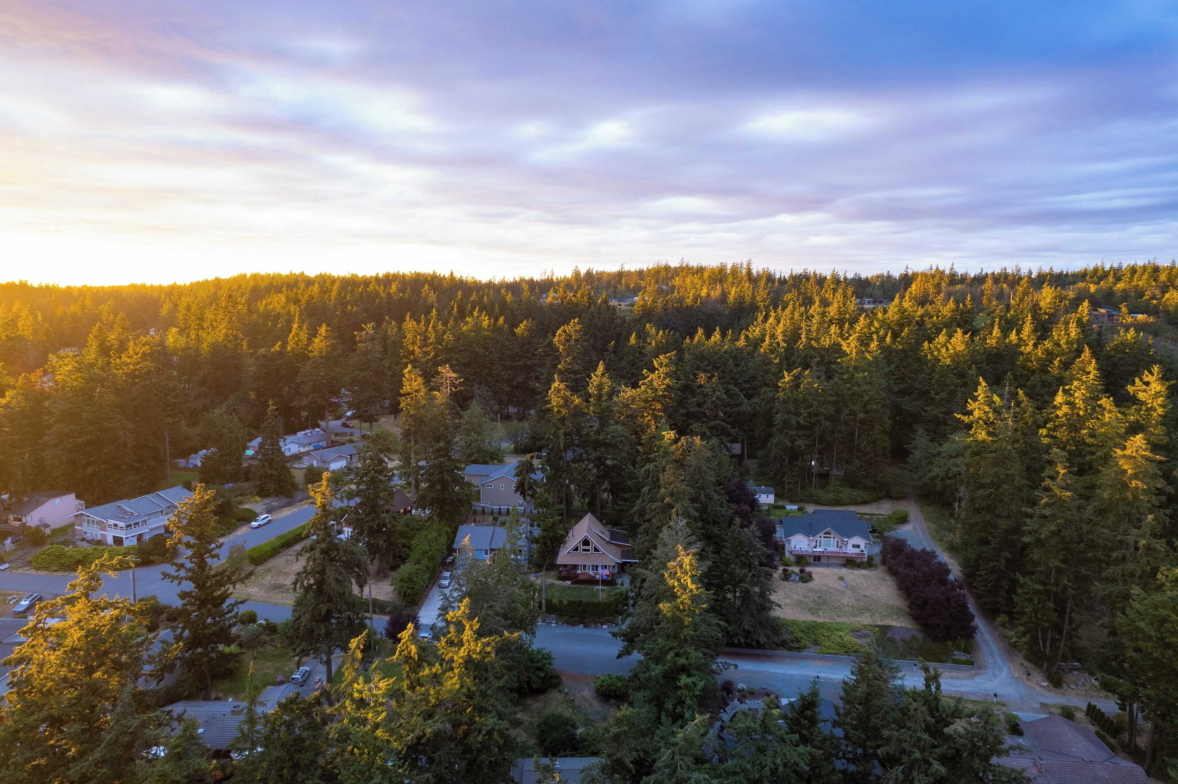 Vue aérienne d’un quartier résidentiel, avec des maisons entourées d’une forêt dense, des routes et un ciel dégagé.