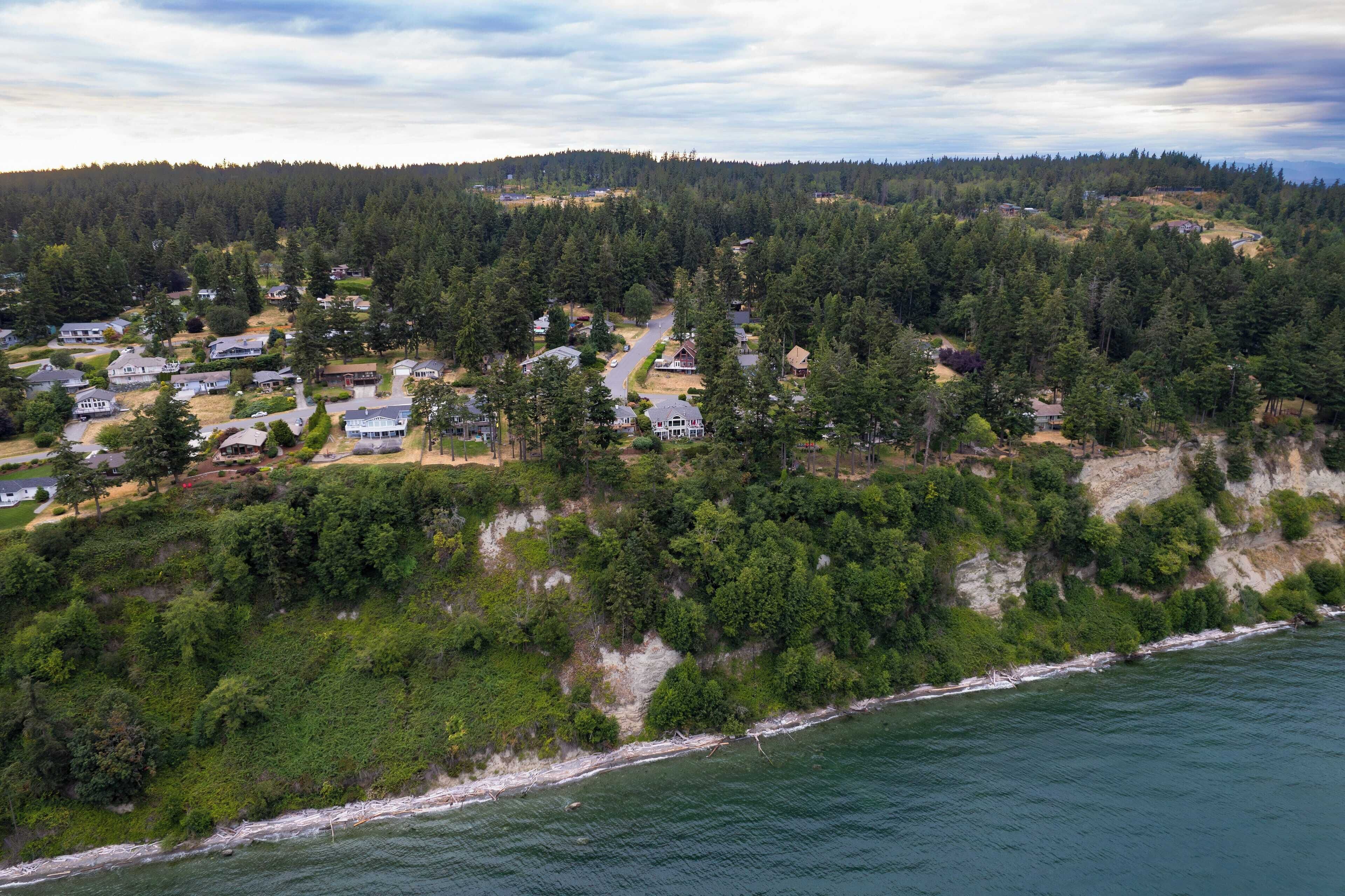 Vista aérea de una zona residencial costera con casas, un bosque denso y una playa.
