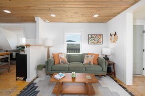 Smart TV, fireplace, books, music library