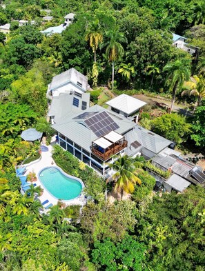 Garden - LF Jungle Retreat (Port Antonio)