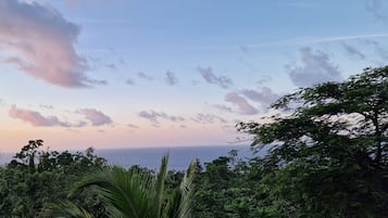 精緻客房, 1 張特大雙人床, 海景 | 露台/庭院