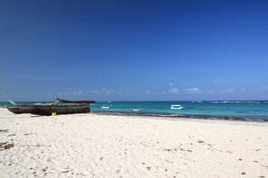 Beach - Diani Beachfront Paradise (Diani Beach)