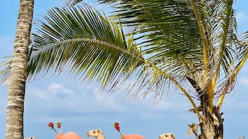 Children’s activities