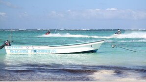 Unclassified image, 4 of 39, button - Diani Beachfront Paradise (Diani Beach)