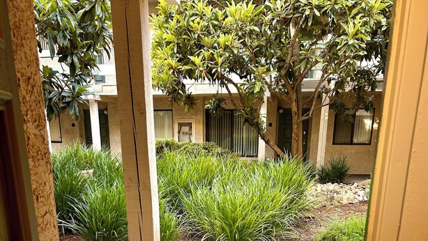 Un felpudo con la palabra 'welcome', una planta en maceta y un edificio con fachada color beige y ventanas.