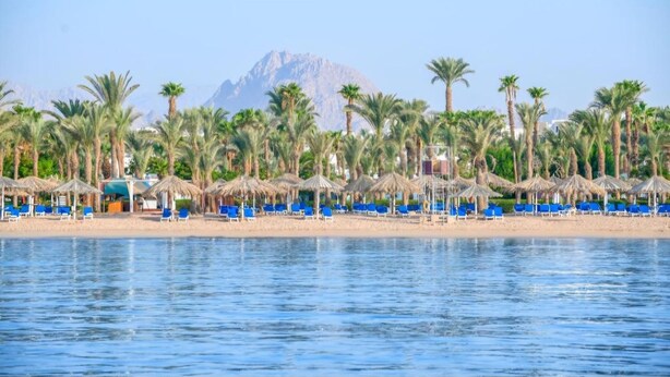 Een strand met palmbomen en blauwe stoelen, een berg op de achtergrond en een heldere lucht.
