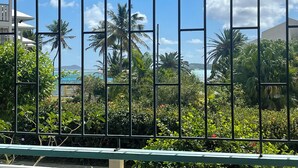 Une vue à travers une clôture métallique, avec une végétation tropicale et l’océan en arrière-plan.