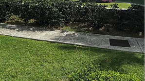 Un jardin bien entretenu, agrémenté d’un sentier, de palmiers et offrant une vue sur l’océan.