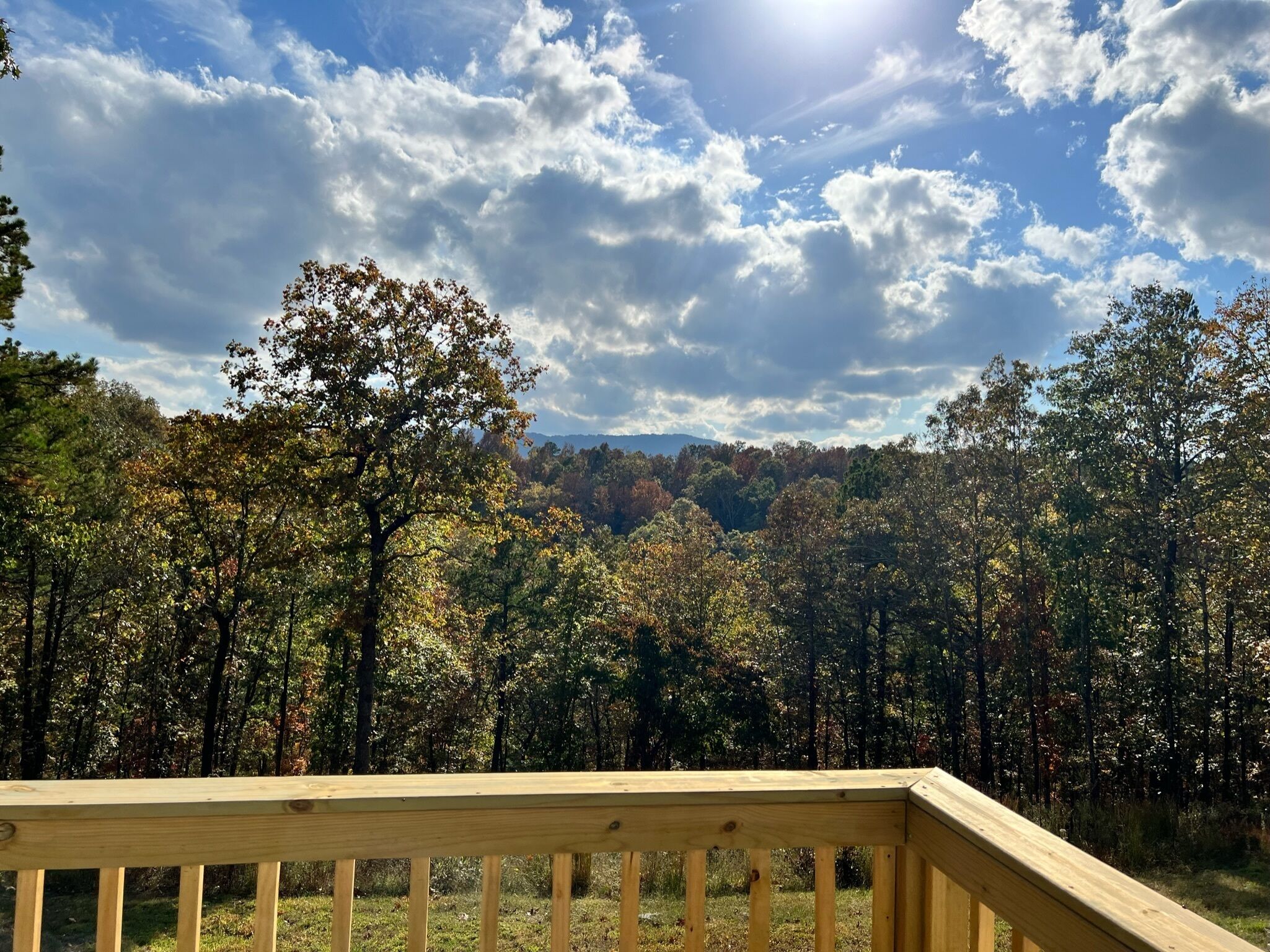 Secluded 2 bedroom 1 bath in the Ozark's - 3 minutes from the Buffalo River! 