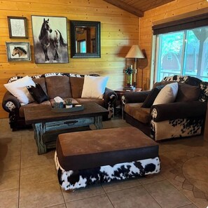 TV connectée, cheminée, livres