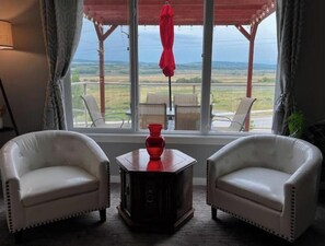 Smart TV, chimenea y libros 
