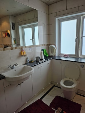 Hair dryer, towels, soap, toilet paper