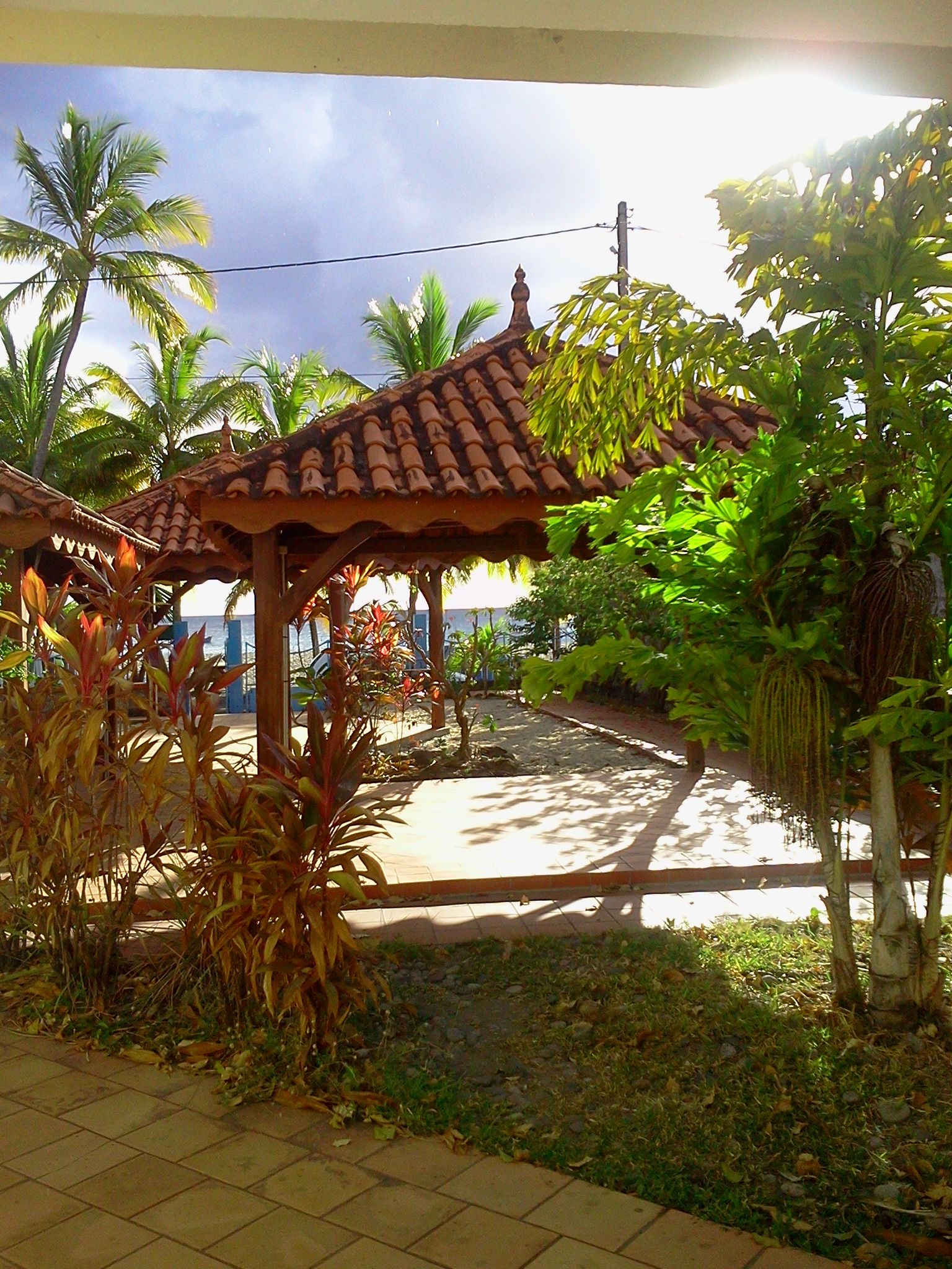 A covered outdoor area with a tiled roof, surrounded by tropical vegetation and palm trees.