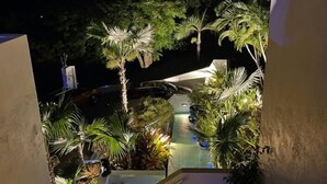 A nighttime outdoor area with a staircase surrounded by various plants and trees, illuminated by artificial lighting.