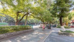 Un sentier bordé d’arbres, avec des bancs, et un ciel dégagé.