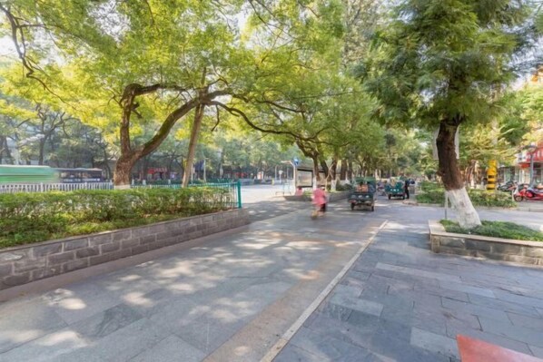 Un sentier bordé d’arbres, avec des bancs, et un ciel dégagé.
