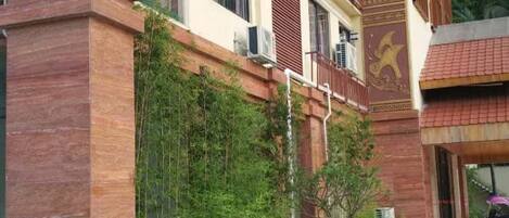 A building with a red brick facade, a balcony with red shutters, and a small tree growing on the wall.