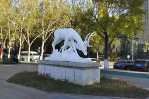 Immagine non classificata, 3 di 44, pulsante