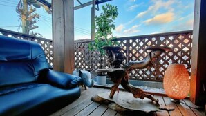 Room - Miyu・Tsuruhashi Japanese-style house Up to 6 people (Osaka)
