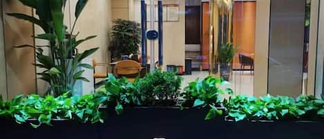 A reception area with a black counter, plants, and a sign with Chinese characters.