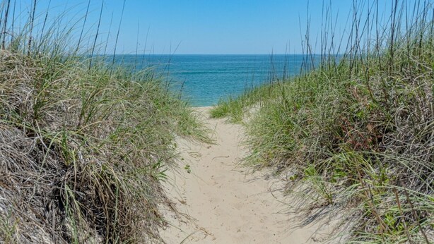 A sandy beach path flanked by tall grass leading to the ocean. - Accessible Semi-Soundfront: Pool, Hot Tub, Game Rm, Elevator, Boat Ramp, Linens (Rodanthe)