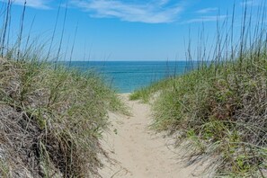 Ein Sandweg am Strand, gesäumt von hohem Gras, führt zum Meer.