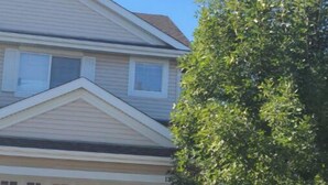 A two-story house with a garage, a tree in front, and a clear blue sky. - Entire Home in Edmonton South close to Airport with fenced private yard & deck (Edmonton)