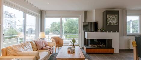 Télévision, cheminée, espaces bureaux