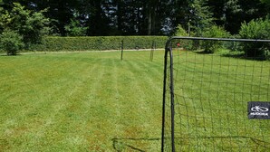 Ein Fußballtor mit einem Ball auf dem Rasen, umgeben von einem gepflegten Grünfeld.